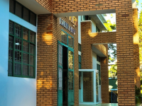 Nằm say giấc trong thư viện