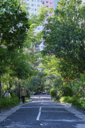 Hình ảnh Thiên nhiên