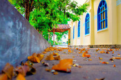 Hình ảnh Thiên nhiên