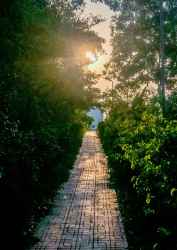 Hình ảnh Thiên nhiên