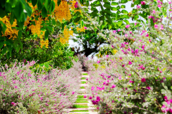 Hình ảnh Thiên nhiên