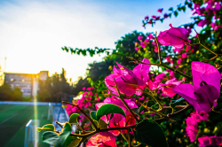 Hình ảnh Thiên nhiên