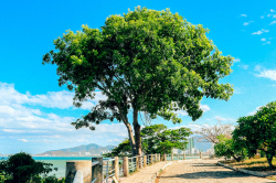 Hình ảnh Thiên nhiên