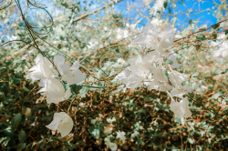 Hình ảnh Thiên nhiên