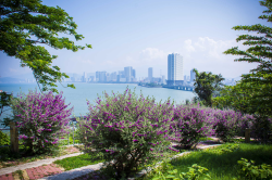 Hình ảnh Thiên nhiên