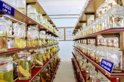 Hình ảnh Kiến trúc