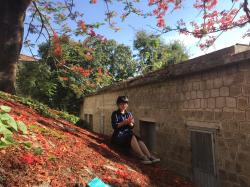 Hình ảnh Con người