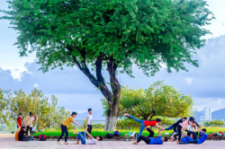 Hình ảnh Con người