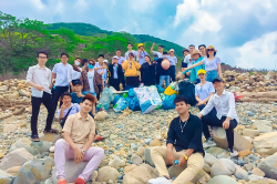 Hình ảnh Hoạt động