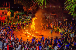 Hình ảnh Hoạt động