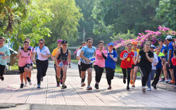 Hình ảnh Hoạt động