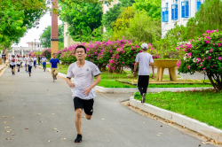 Hình ảnh Hoạt động