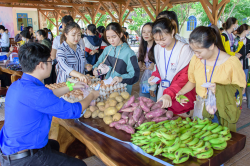 Hình ảnh Hoạt động