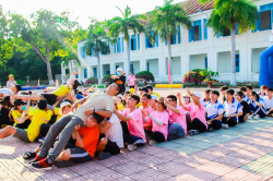 Hình ảnh Hoạt động